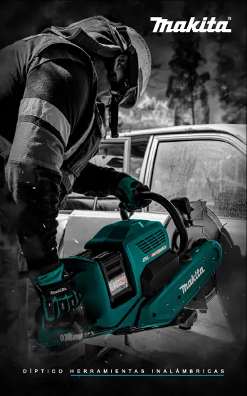 División de rescate Díptico RASTER